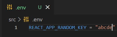 View of an environment variable called REACT_ENV_RANDOM_KEY with the value “abcde”